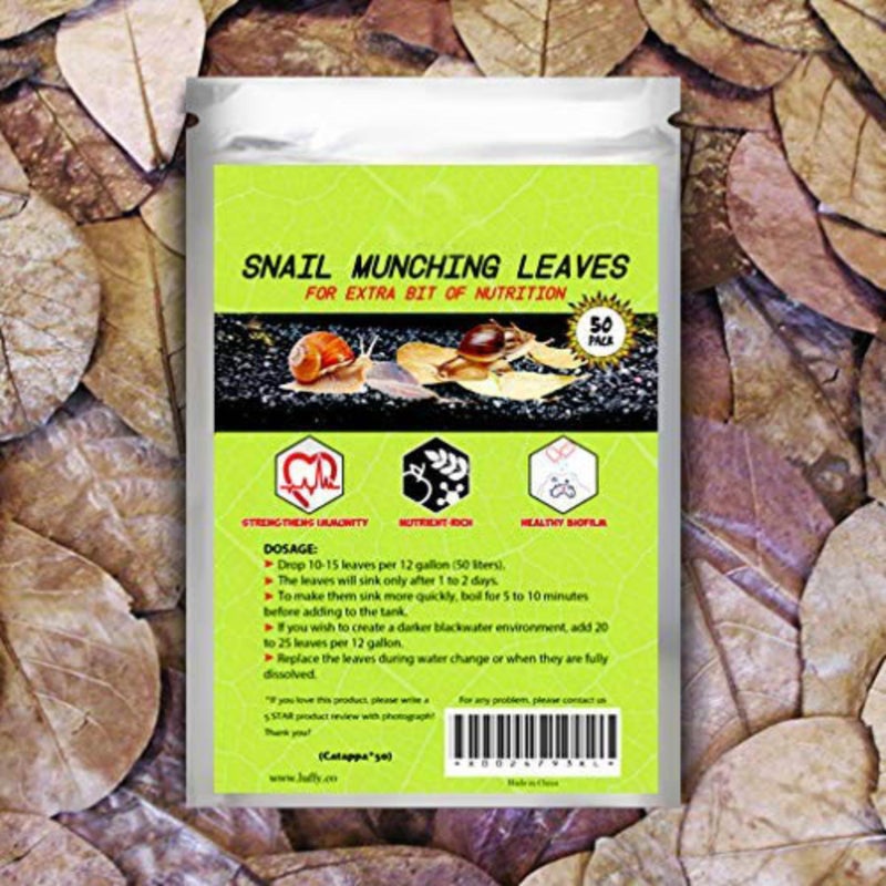 SunGrow 50 Pack Catappa Indian Almond Leaves for Snails and Crayfish, Mini Raw Dried Leaf for Fish Tank Aquarium, Maintains pH Levels - Image 1